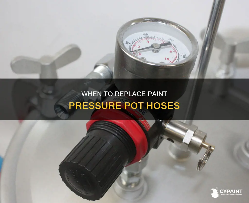 how often do you replace paint pressure pot hoses
