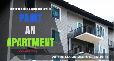 Landlord Painting Responsibilities: How Often Should Apartments Be Painted?
