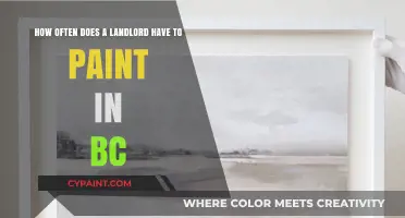 BC Landlord Painting Duties: Frequency and Legal Requirements Explained