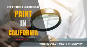 California Landlord Painting Duties: Frequency and Legal Requirements Explained