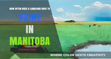 Manitoba Landlord Painting Responsibilities: Frequency and Legal Requirements Explained