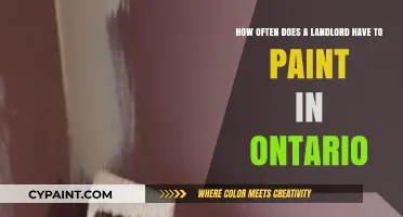 Ontario Landlord Painting Duties: Frequency and Legal Requirements Explained