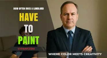 Landlord Painting Responsibilities: How Often Should Walls Be Refreshed?