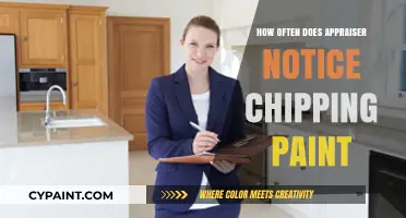Chipping Paint: How Often Do Appraisers Notice and Care?
