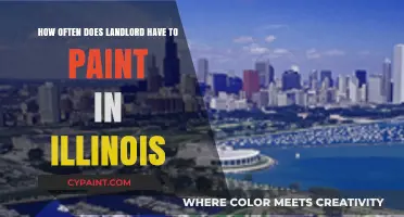 Illinois Landlord's Guide to Painting Requirements