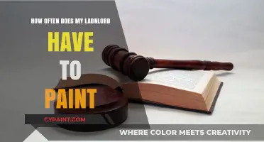 How Often Should Landlords Paint Rental Properties: A Guide