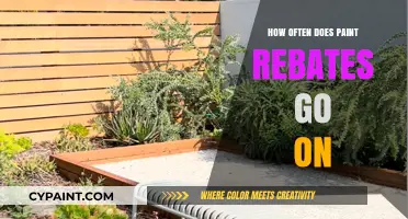 How Often Do Paint Rebates Occur? A Comprehensive Guide