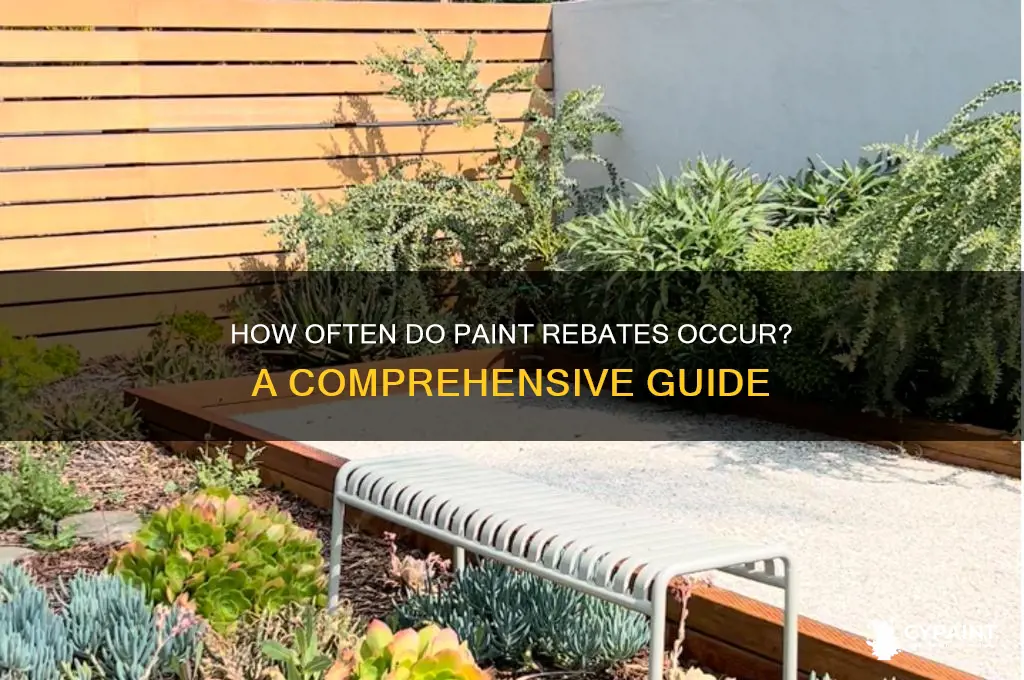 how often does paint rebates go on