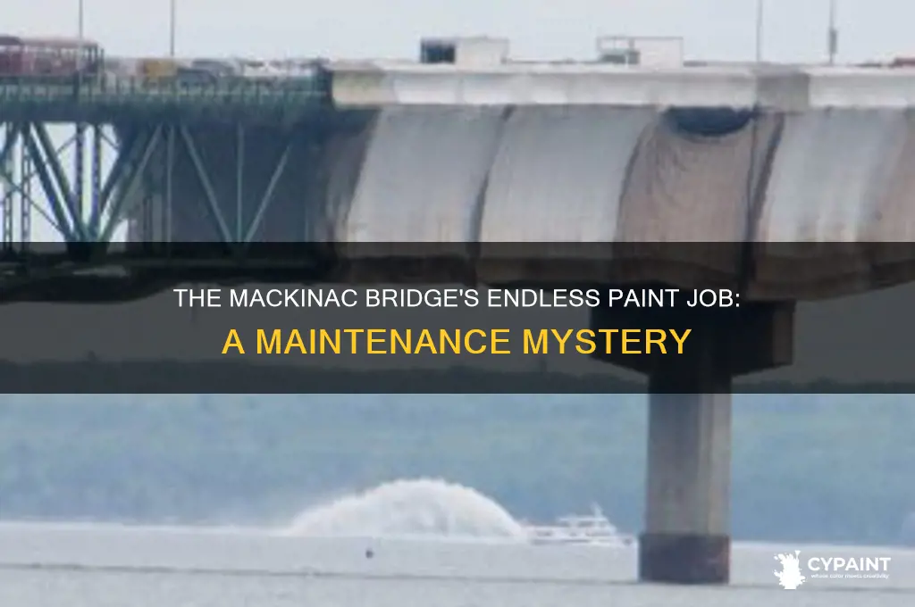 how often is the mackinac bridge painted