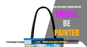 Chesapeake Bay Bridge Painting Frequency: Maintenance Secrets Revealed