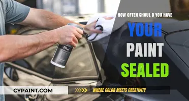 The Benefits of Regular Paint Sealing