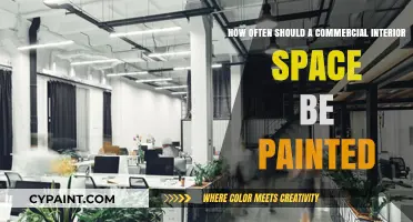Commercial Spaces: Refreshing Paint Jobs for a Modern Look