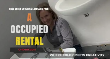 Landlords: Refresh Your Rentals with Regular Paint Jobs