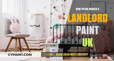 UK Landlord Painting Guide: Optimal Frequency for Property Maintenance