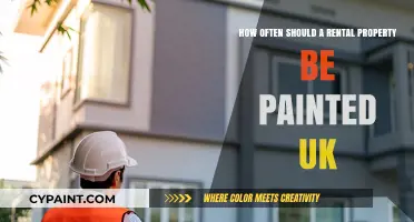 Enhancing Your Rental Property: Painting Frequency