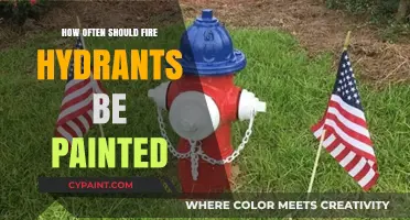Maintaining Fire Hydrants: Optimal Painting Frequency for Visibility and Safety