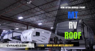 RV Roof Maintenance: Optimal Painting Frequency for Longevity and Protection
