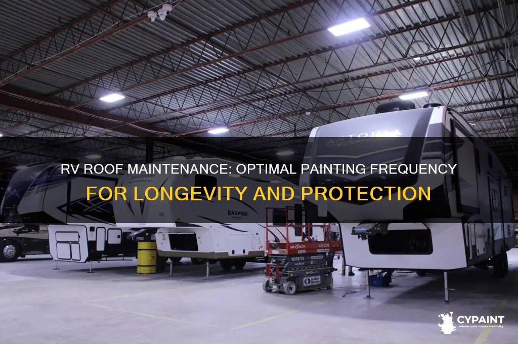 how often should i paint mt rv roof