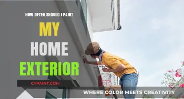 Exterior Paint Refresh: Ideal Timing for Your Home's Curb Appeal