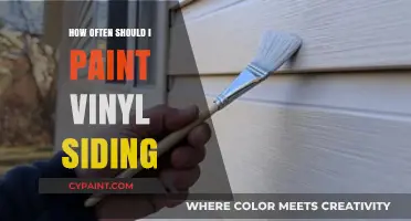 Maintaining Vinyl Siding: Optimal Painting Frequency for Longevity and Appeal