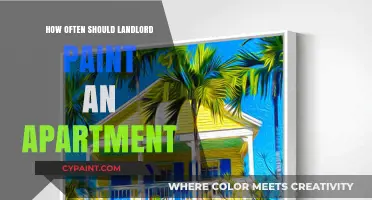 Landlord Painting Responsibilities: How Often Should Apartments Be Refreshed?
