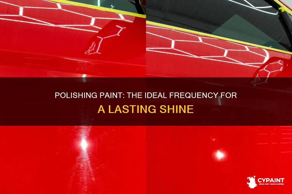 how often should paint really be polished
