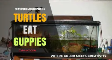 Feeding Painted Turtles Guppies: Optimal Frequency for Health and Care