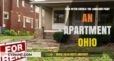 When is the Right Time for Landlords to Repaint?