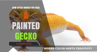 Optimal Feeding Schedule for Your Painted Gecko: A Comprehensive Guide
