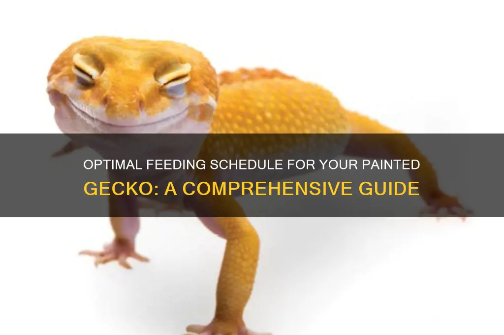 how often should you feed a painted gecko