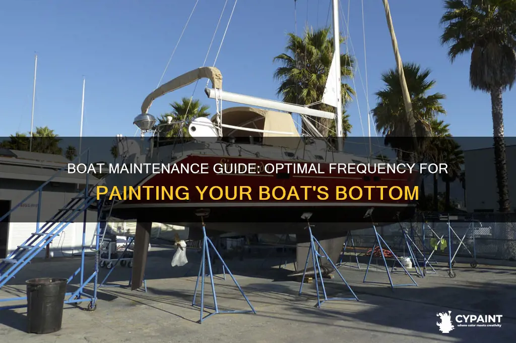 how often should you paint the bottom of your boat
