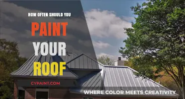 Optimal Roof Painting Frequency: A Guide to Protecting Your Home