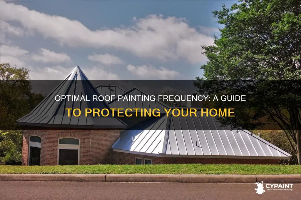 how often should you paint your roof