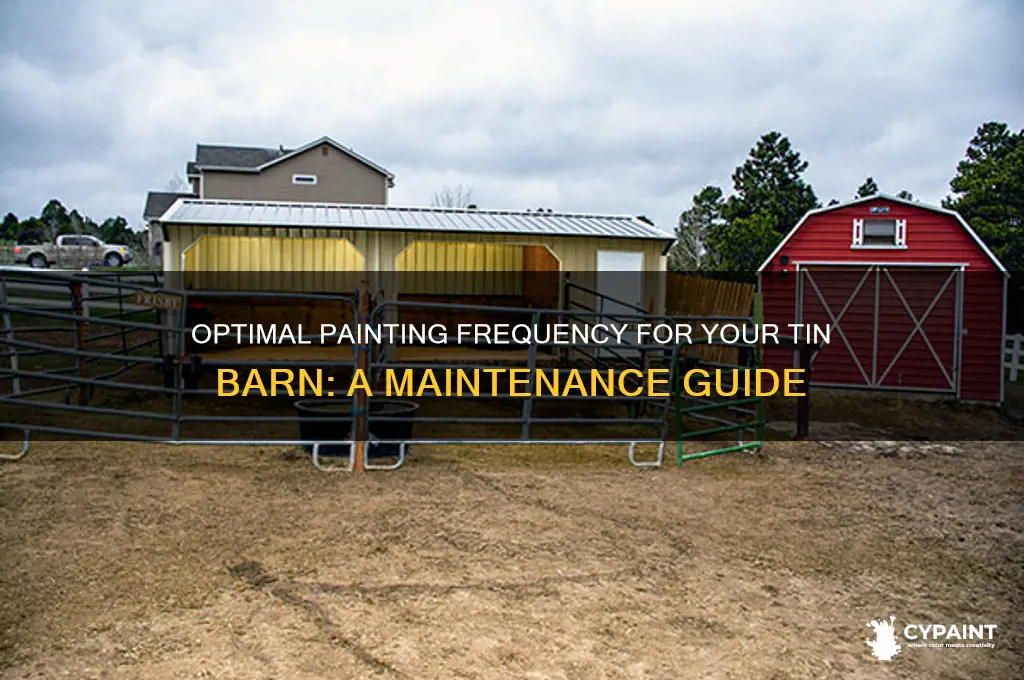 how often should you paint your tin barn