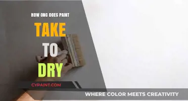Paint Drying Time: Factors Affecting Speed and Tips for Faster Results
