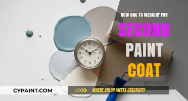 Perfect Timing: How Long to Wait for Your Second Paint Coat