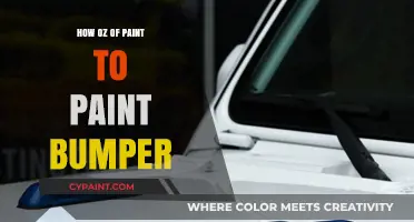 How Much Paint is Needed to Paint a Bumper?