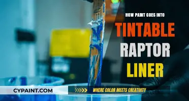 Tintable Raptor Liner: The Paint Integration Process Explained