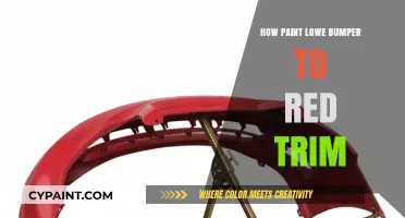 DIY Guide: Painting Your Lower Bumper to Match Red Trim