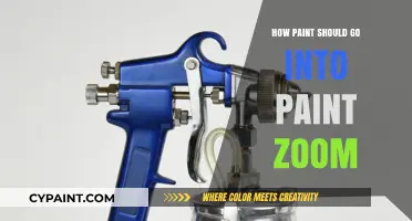 Mastering Paint Zoom: Efficient Techniques for Loading Paint Flawlessly