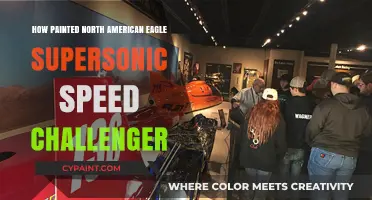 Painted North American Eagle: Supersonic Speed Challenger Unveiled