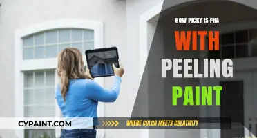 FHA Peeling Paint Standards: What Homebuyers and Sellers Need to Know