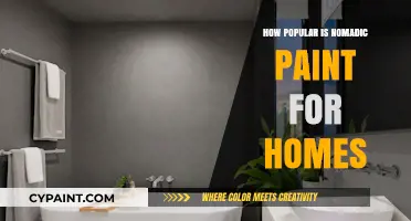 Nomadic Paint Trends: Rising Popularity in Modern Home Decor