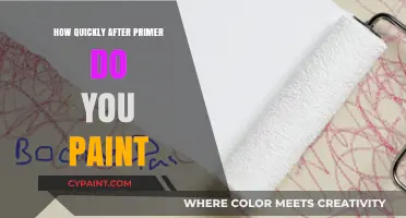 Perfect Timing: When to Paint After Applying Primer for Best Results