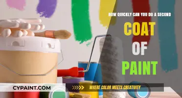 Timing Your Second Paint Coat: Essential Tips for Perfect Results