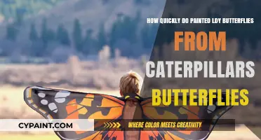 Caterpillar to Butterfly: Painted Lady's Quick Transformation