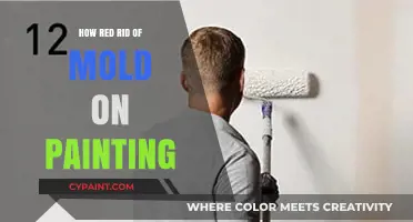 Effective Methods to Safely Remove Mold from Your Paintings