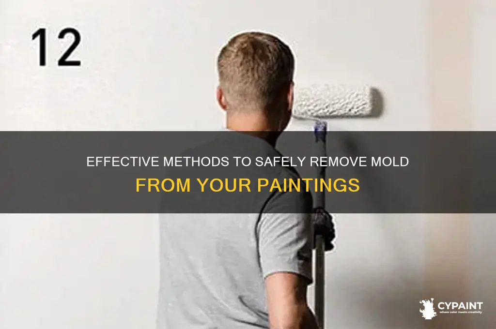 how red rid of mold on painting