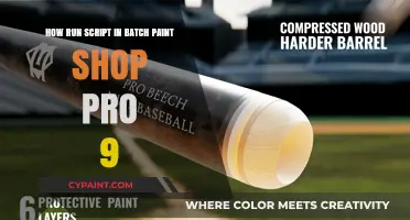 Quick Guide: Running Batch Scripts in Paint Shop Pro 9