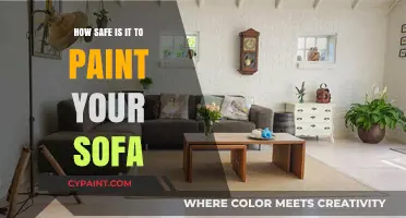 Is Painting Your Sofa Safe? Tips and Precautions to Consider
